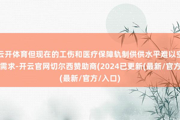 云开体育但现在的工伤和医疗保障轨制供供水平难以空隙本体需求-开云官网切尔西赞助商(2024已更新(最新/官方/入口)
