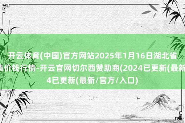 开云体育(中国)官方网站2025年1月16日湖北省洪湖农贸市集价钱行情-开云官网切尔西赞助商(2024已更新(最新/官方/入口)