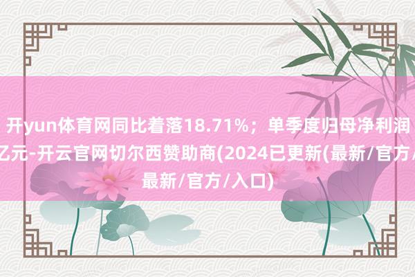 开yun体育网同比着落18.71%；单季度归母净利润1.08亿元-开云官网切尔西赞助商(2024已更新(最新/官方/入口)